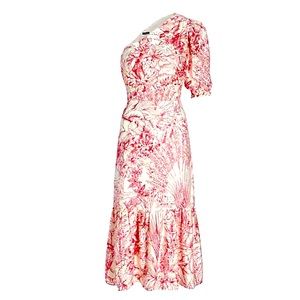 Express Printed One Shoulder Puff Sleeve Ruffle Hem Midi Dress